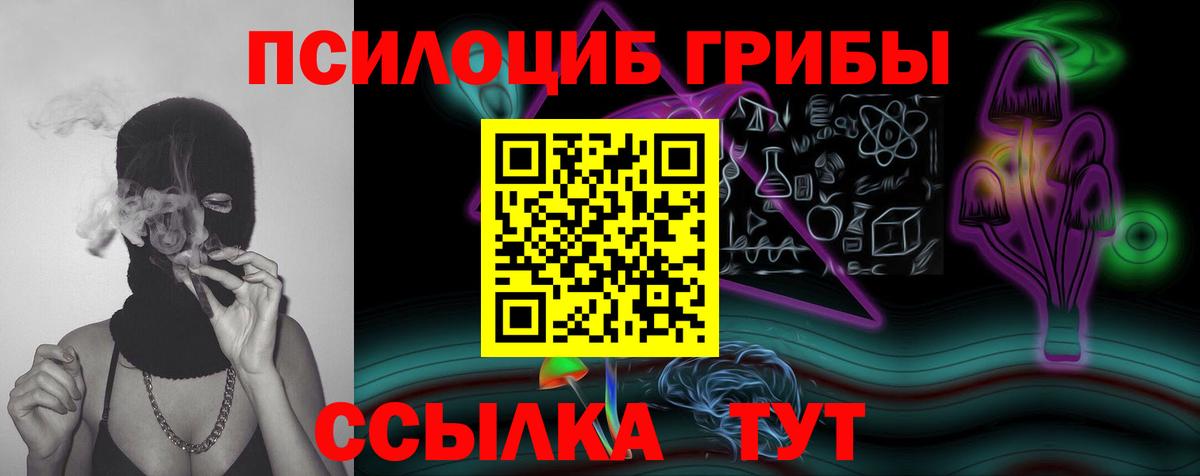 Псилоцибиновые грибы ЛСД  Вход с VPN  Боровичи  где можно купить   Галлюциногенные грибы Psilocybine cubensis 