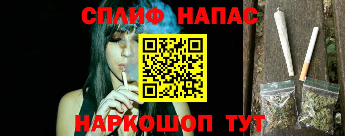 APVP Боровичи