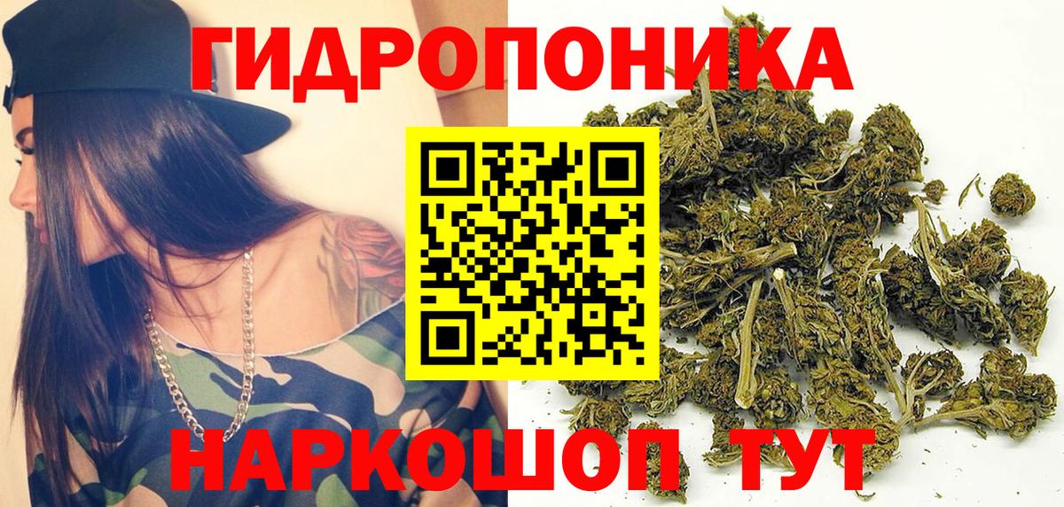 Канабис Bruce Banner  Вход с VPN  Бошки Шишки планчик  Конопля сатива  Боровичи 